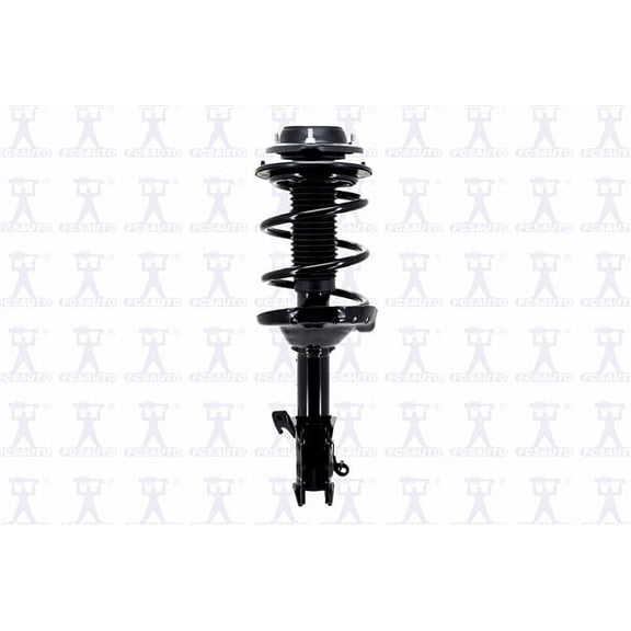 Suspension Strut and Coil Spring Assembly