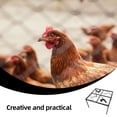 thumbnail image 3 of BESTYASH Soporte Metálico Negro Para Bebedero Y Comedero De Gallinas Fácil De Montar Y Mantener, 3 of 8