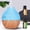 B, variant on 4.4oz USB Essential Oil Diffuser & Humidifier - 7 Color LED Lights, 4H Timer, Quiet Ultrasonic, with 2 Oils (Peppermint & Orange) for Bedroom, Office, Spa