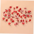 thumbnail image 6 of BESTYASH 100Pcs Red Love Wooden Paper Clamps Practical Decorative Clips for Holiday and Home, 6 of 6