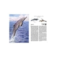 thumbnail image 4 of Atlas de LOS ANIMALES extintos LEXUS Pasta Dura, 4 of 4