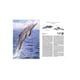 thumbnail image 4 of Atlas de LOS ANIMALES extintos LEXUS Pasta Dura, 4 of 4