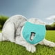 thumbnail image 4 of Belleza Para Gatos 2025 Nueva Cubierta Para La Boca Del Gato Malla Transpirable Para Gatos Herramientas De Belleza Reutilizables Para Gatos, 4 of 4