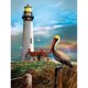 thumbnail image 1 of Cuadros Decorativos Full Diamond Bird Tower Animal Series Diamante redondo Resina E484 JShteea Nuevos Originales, 1 of 8
