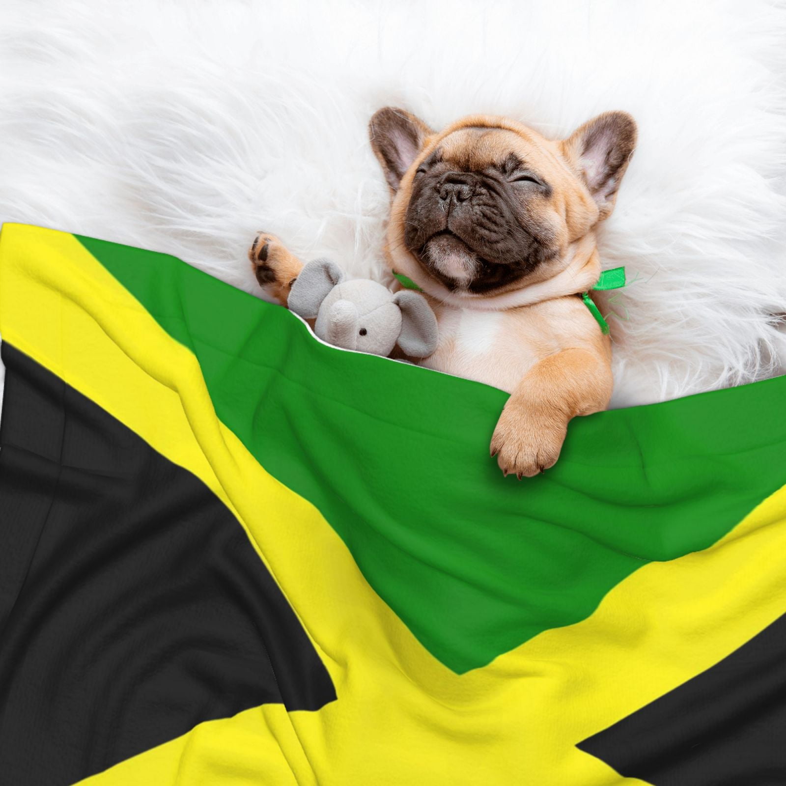 Flannel Throw Dog Blanket Jamaican Flag Pattern Soft Warm Print Pet Blankets for Small Dog Cat Puppy