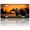 Brown Bear in, variant on 1 Pcs 2D Flat License Plate Covers & Frames, skeletal shark For Decorative Front, Waterproof For Decoration Aluminum License Plate Covers & Frames Cover For Men Women, 12" X 6"