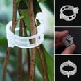 thumbnail image 5 of Clips para Plantas Soporte para Plantas para Verduras Tomates y Plantas de Vid Juego de Clips para Plantas de plástico Blanco Reutilizables para 3X3X1.5cm 50 Piezas, 5 of 5