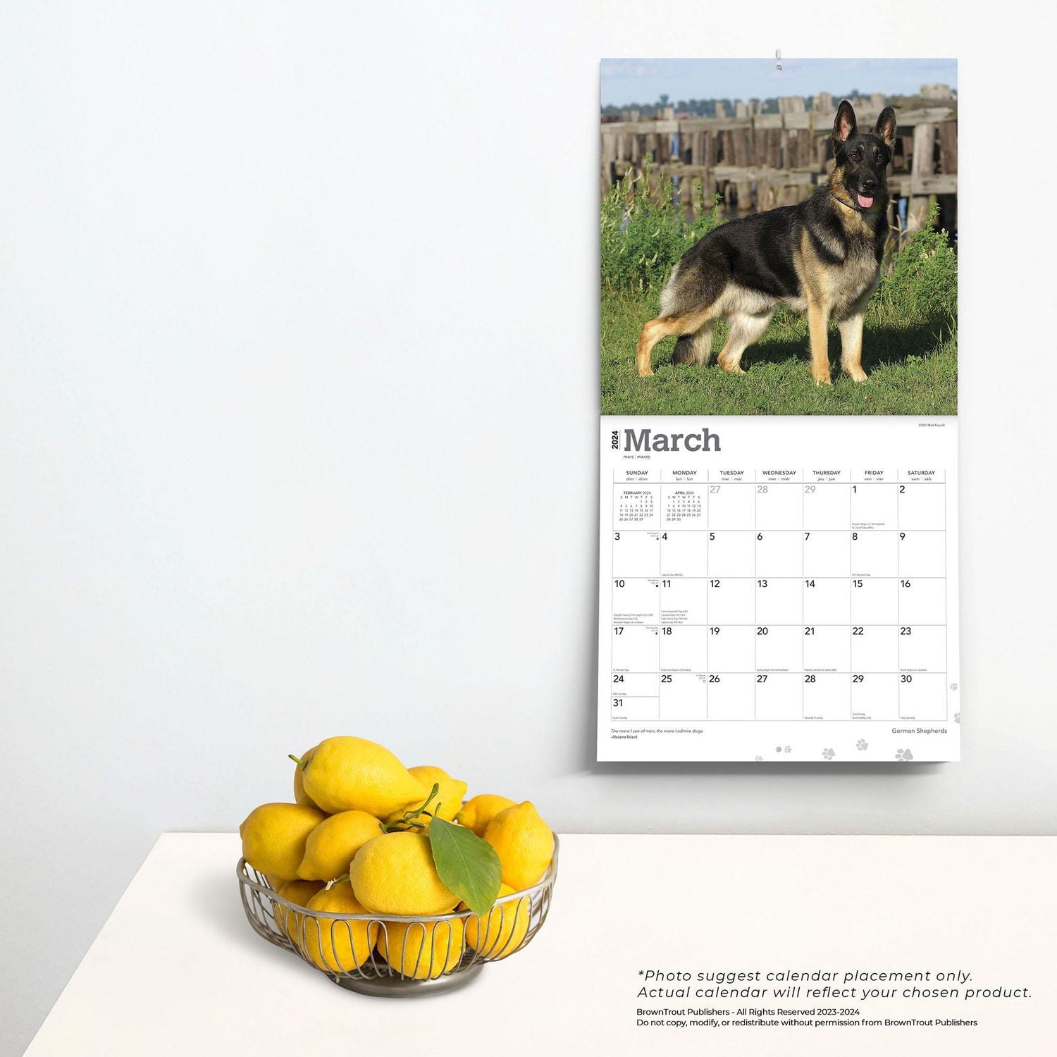 BrownTrout German Shepherds 2024 12x24 Inch Square Wall Calendar, 9781975462833
