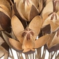 thumbnail image 4 of Vickerman Natural Botanicals 20" Lily on Stem. Includes 50 Stems per Pack, 4 of 8