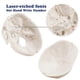 thumbnail image 3 of Anatomical Human Skull Model, 3-part, Numbered, Life Size, 3 of 5