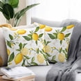 thumbnail image 2 of Lemon Summer Outdoor Pillow Covers Pack of 2 Floral Lemon Yellow Green Waterproof Throw Pillow Covers Decorative Cushion Cases for Patio Garden Tent Balcony Couch 20x20 inch, 2 of 8