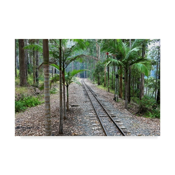 Trademark Fine Art 'Tracks Train' Canvas Art by Incredi