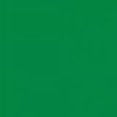 thumbnail image 4 of Playera Blusa De Familia Capybara Ropa Para Mujer Capibara Color Verde Talla Mediana Marca Emil SaEs, 4 of 4