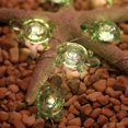 thumbnail image 2 of Tortue Guirlandes Lumineuses Décoratives Conduit Résistant aux Intempéries Usb Alimenté Tortue Fée Lumière--, 2 of 5
