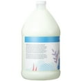 Ginger Lily Farms Botanicals Moisturizing Conditioner for Dry Hair