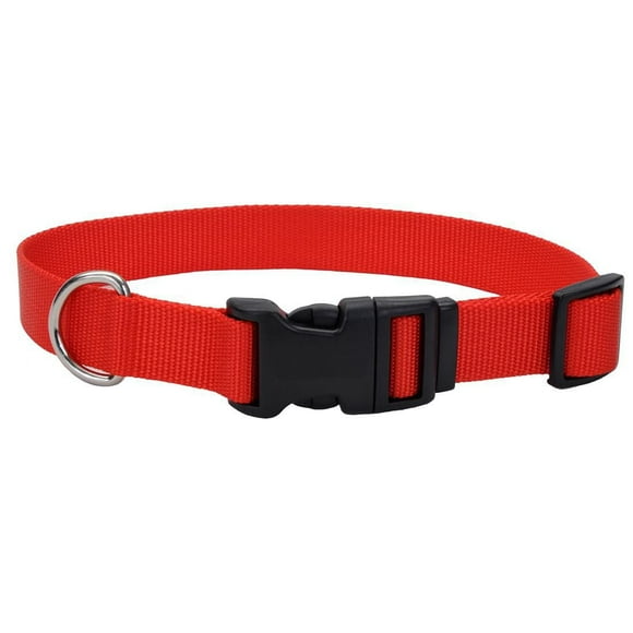 Pet Attire by Coastal Small 8-12" Red Adjustable Buckle Dog Collar, Small Adjustable Collar