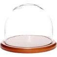 thumbnail image 2 of Plymor 8" x 6.5" Glass Display Dome Cloche (Walnut MDF Base), 2 of 3