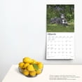 thumbnail image 4 of Greyhounds | 2024 12x24" (Hanging) Square Wall Calendar | BrownTrout, 4 of 8