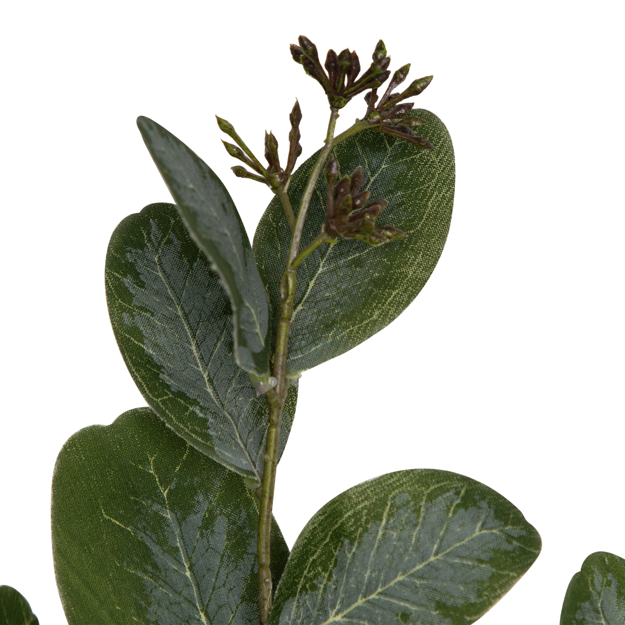 Northlight Seeded Eucalyptus Leaves Artificial Sprays - 33" - Green - Set of 6