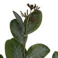 thumbnail image 5 of Northlight Seeded Eucalyptus Leaves Artificial Sprays - 33" - Green - Set of 6, 5 of 6