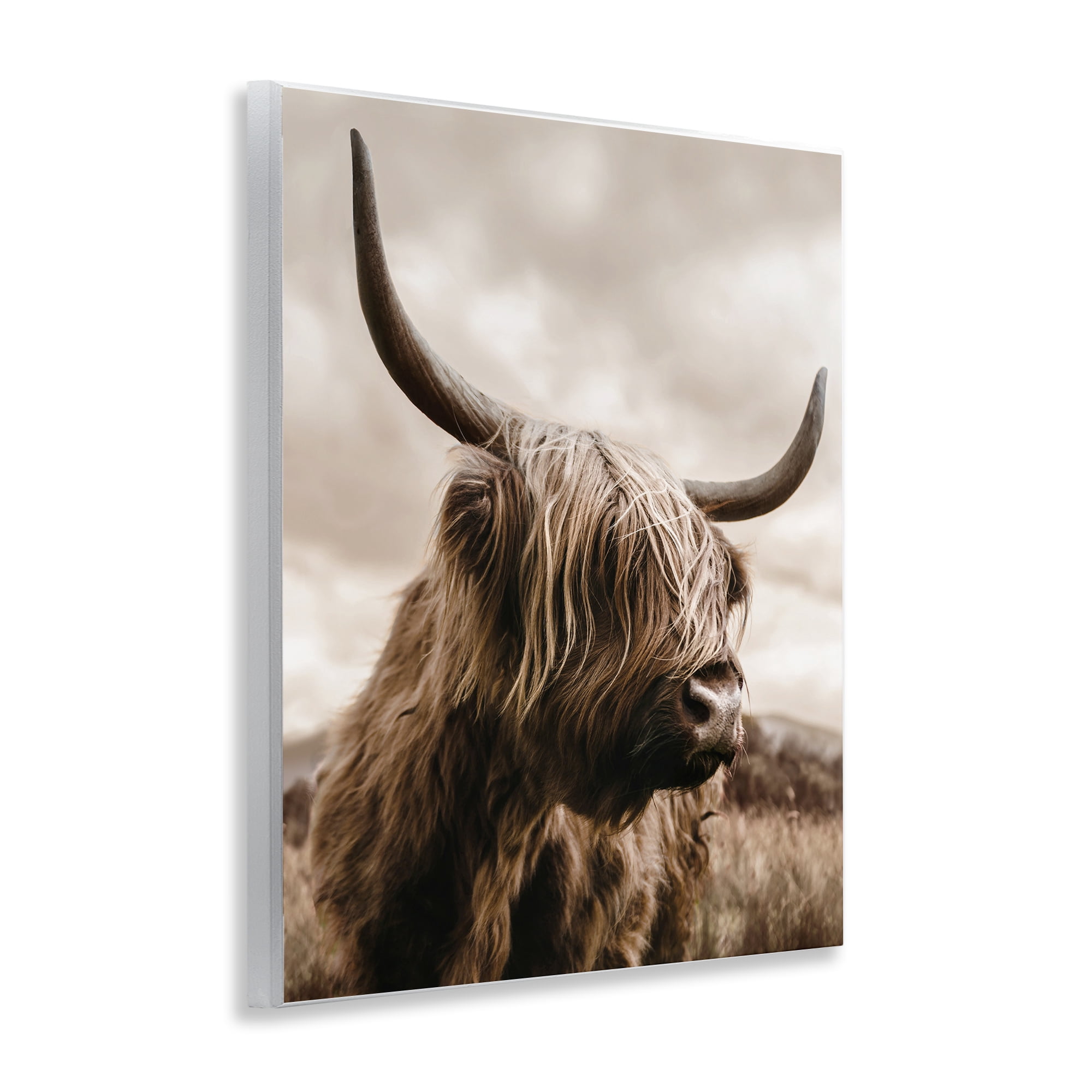 Stupell Industries Highland Cow on Windswept Moor Wall Plaque Art, design by CAD Designs