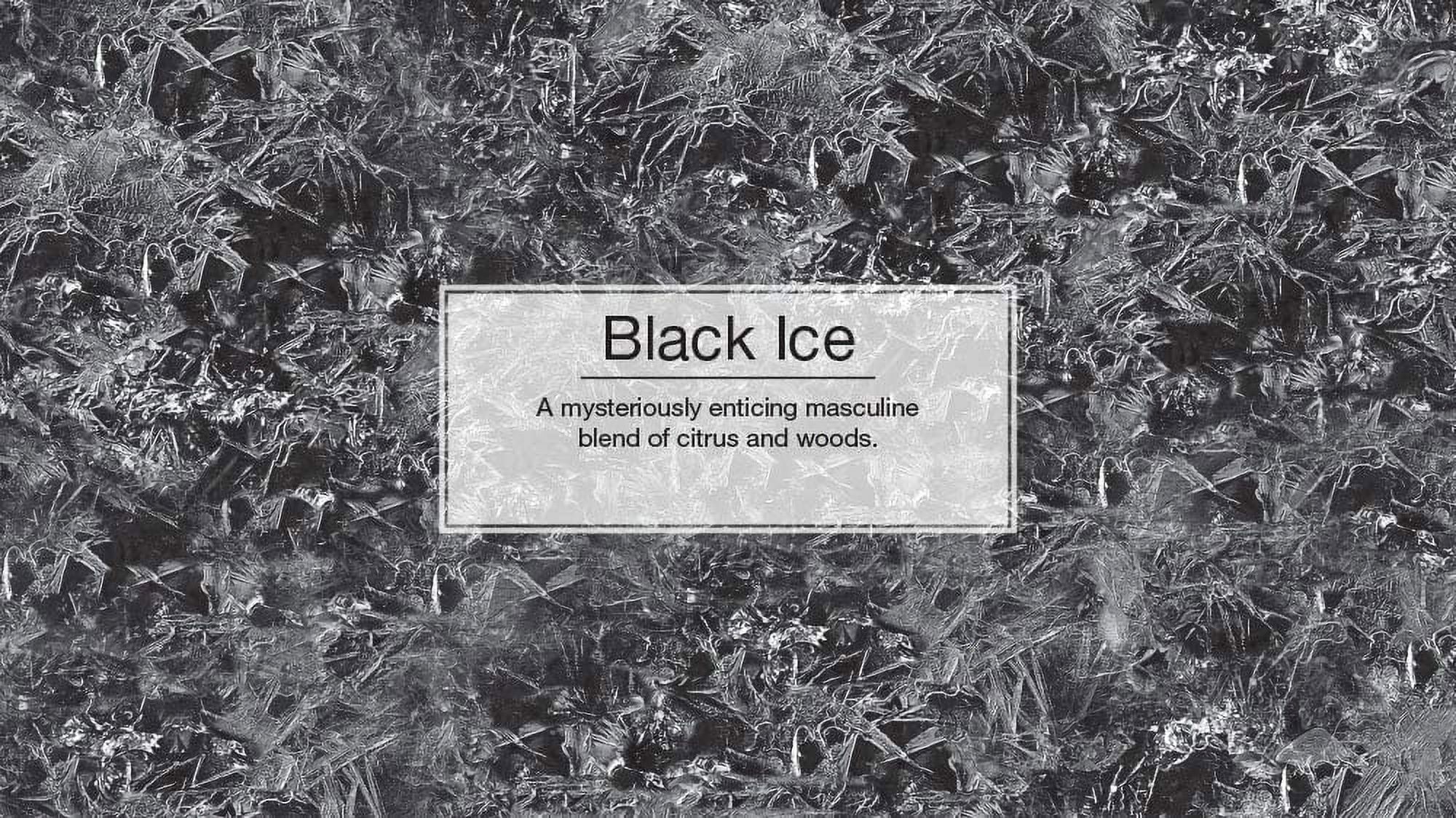 LITTLE TREES Air Fresheners Car Air Freshener. Hanging Tree Provides Long Lasting Scent for Auto or Home. Black Ice, 24 Air Fresheners