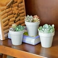 thumbnail image 3 of Youngever 24 Pack 2 Inch Mini Plastic Planters, Indoor Flower Plant Pots, Grey Gardening Pot with Drainage - NO Plant Included (Classic), 3 of 4
