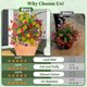 thumbnail image 5 of YiJuHui Artificial Flower Stakes Outdoor Decor, Realistic Faux Floral Garden Stakes, UV Resistant Waterproof, Easy Install for Yard Patio Lawn Landscaping, 5 of 5