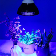 thumbnail image 3 of Led Plant Growth Fill Light 18W Plant Light, 3 of 4