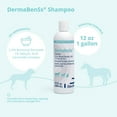 thumbnail image 2 of DermaBenSs Shampoo for Dogs  Cats and Horses  12 fl oz, 2 of 6