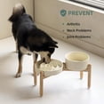 thumbnail image 5 of Ceramic Raised Slow Feeder Dog Bowl Set Elevated 7.3inch Bowl and 8.2inch Puzzle Slow Dish with Wooden Stand for Medium and Large Dog Anti-Gulping 2X Beige+ Stand, 5 of 8