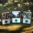 thumbnail image 4 of Land Station Magic The Gathering 2025 con 400 cartas terrestres básicas, 4 of 6