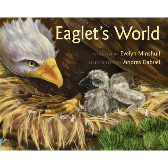 Pre-Owned Eaglet's World (Paperback) 0807517607 9780807517604