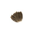 thumbnail image 5 of ZUCKER® 10 PC/PKG RINGNECK PHEASANT TAILS 4-6" - NATURAL, 5 of 5