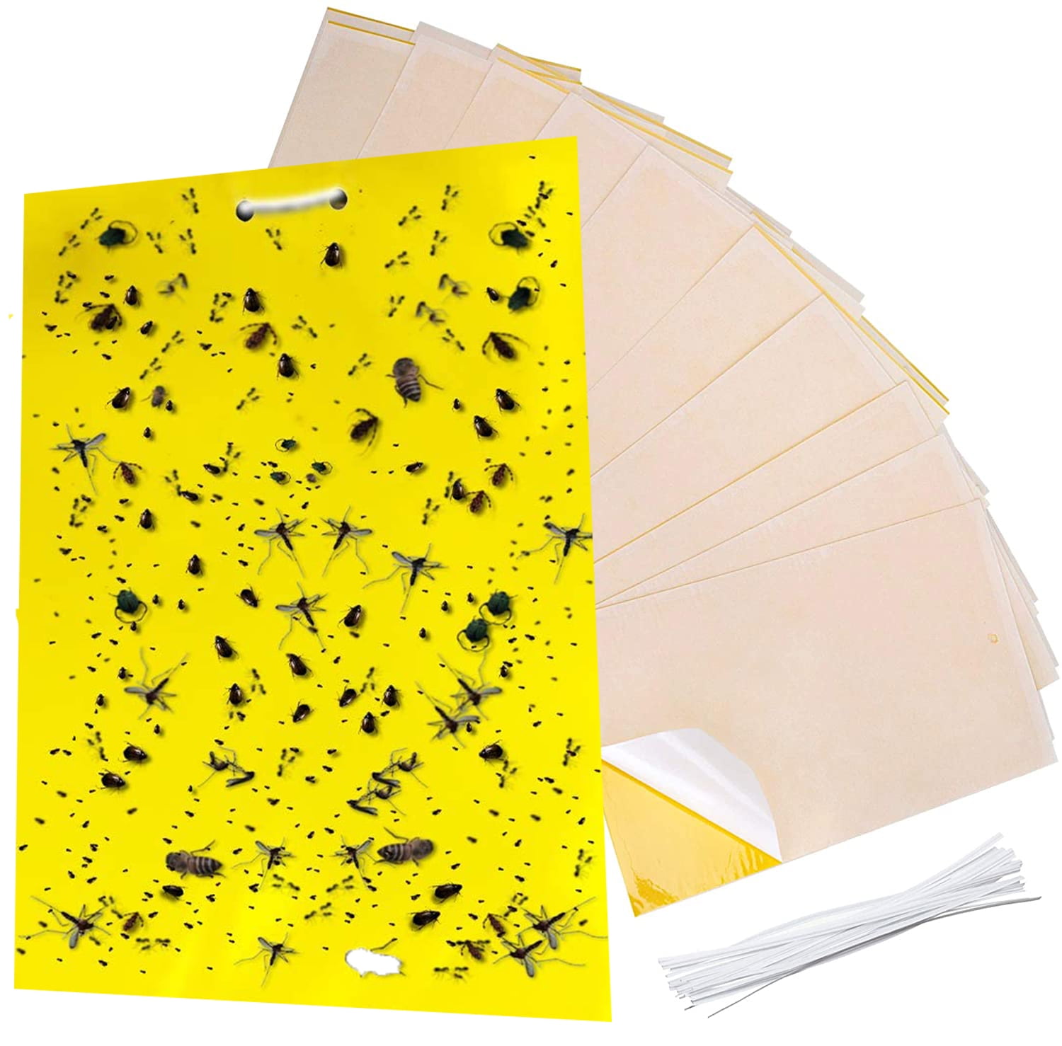 10PCS Dual-Sided Yellow Sticky Traps for Flying Plant Insect Like Fungus Gnat US 