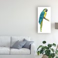 thumbnail image 3 of Trademark Fine Art 'Teal Macaw I' Canvas Art by Grace Popp, 3 of 4