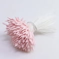 thumbnail image 1 of Lote de 370 unids/lote de estambres de núcleo puntiagudo mate, estambre de flores Manual, horquilla para decoración del cabello, Material de bricolaje, accesorios de flores de simulación, 1 of 3