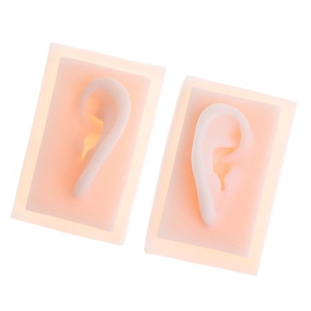 1 Pair LIfesize Human Ear Model Training & Repeated Practice s for