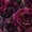 Color 4, variant on Peel and Stick Wallpaper Purple Black Marble Gold Veining Vibrant Elegant Romantic Wall Mural 17.7in x 9.8ft Self Adhesive Removable Wall Paper for Nursery Bedroom Cabinets