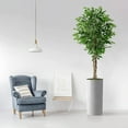 thumbnail image 2 of Artificial Tree in White Marble Effect Planter, Fake Ficus Silk Tree for Indoor and Outdoor Home Decoration - 75" Overall Tall (Plant Pot Plus Tree), 2 of 5