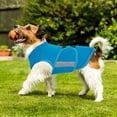 thumbnail image 5 of Dog Anxiety Relief Coat,Comfort Anxiety Vest for Dogs,Adjustable Dog Anxiety Calming Wrap for Fireworks,Thunderstorm,Travel,Separation,Anxiety Jacket for Small Dogs, 5 of 7