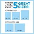 thumbnail image 4 of BrylaneHome BH Studio Cotton Blanket, 4 of 5
