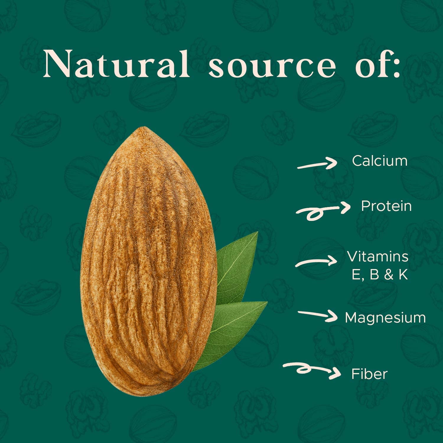 Dry Roasted Unsalted Almonds 48oz, Batch Tested, Gluten & Peanut Free Non-GMO Roasted Almonds Whole Nuts