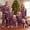 Dad, variant on AIGUR Family Pajamas Matching Set, Plaid Long Sleeve Shirt with Pants Sleepwear Loungewear