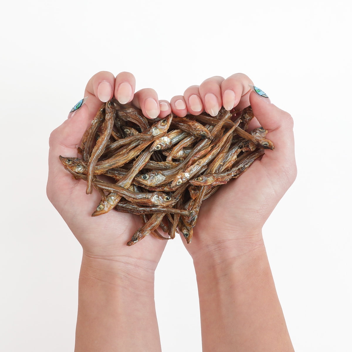 Taylor Fish Smelt Trainers, Dehydrated Whole Lake Erie Smelt for Dogs, 113g