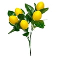 thumbnail image 4 of limón artificial, limones espuma, arreglo floral, elegante decoración para hogar, planta limón para patio, fiesta, mesa, jarrón, boda A, 4 of 8