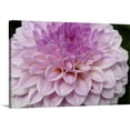 thumbnail image 1 of Great BIG Canvas | "Pink dahlia flower, Butchart Gardens, Victoria, British Columbia, Canada" Canvas Wall Art - 24x16, 1 of 2