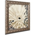 thumbnail image 2 of Trademark Fine Art 'Winter White I' Ornate Gold Framed Art by Color Bakery, 2 of 4