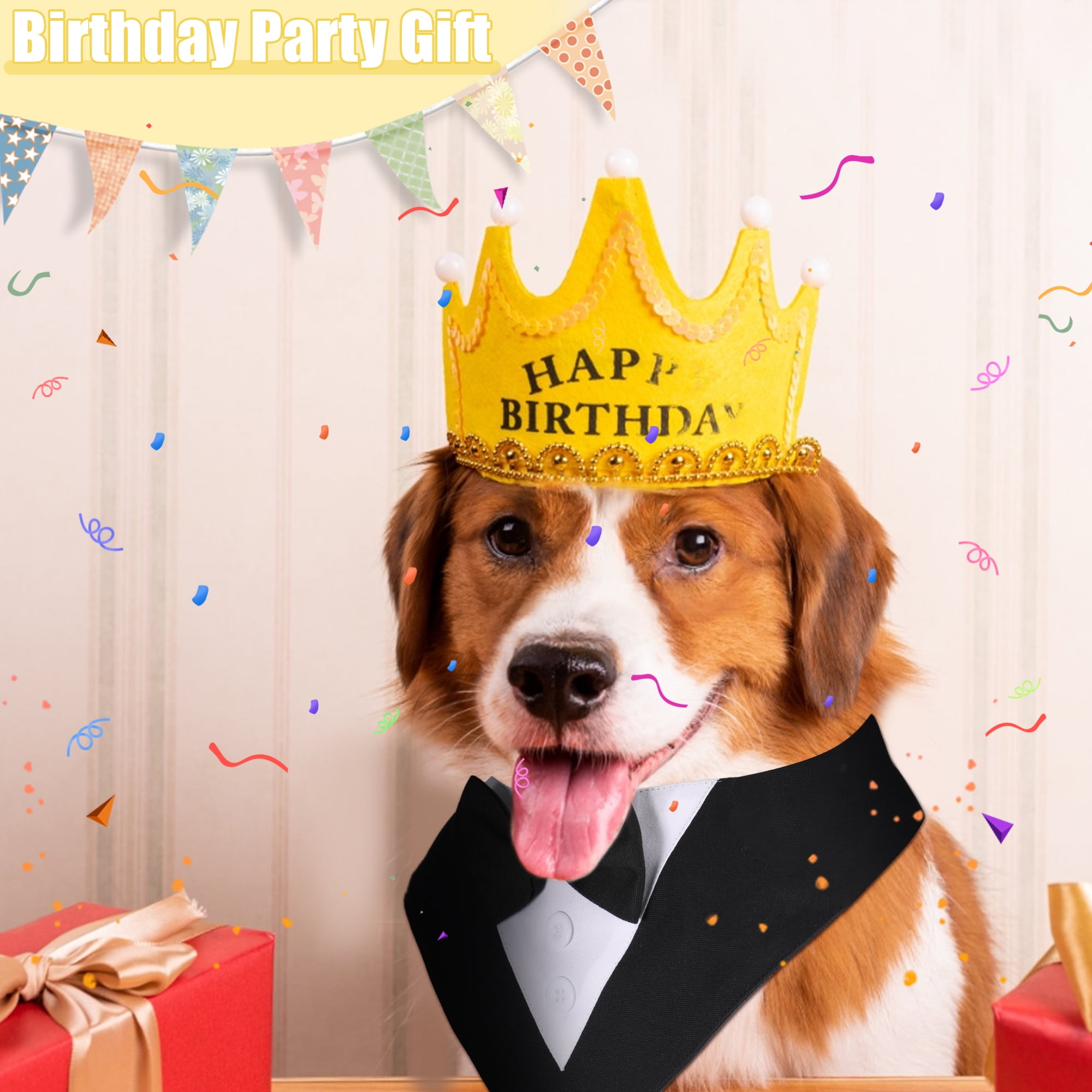 Destyer Black Bandana Collar Convenient Decorative User Friendly