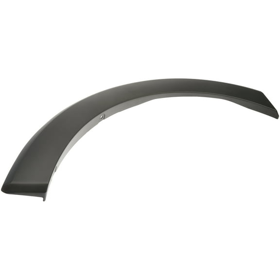 Dorman 927-330 Front Passenger Side Door Molding for Specific Ford Models